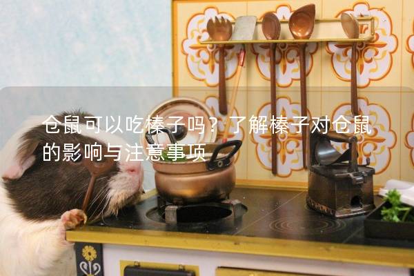仓鼠可以吃榛子吗？了解榛子对仓鼠的影响与注意事项