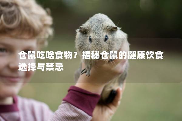 仓鼠吃啥食物？揭秘仓鼠的健康饮食选择与禁忌
