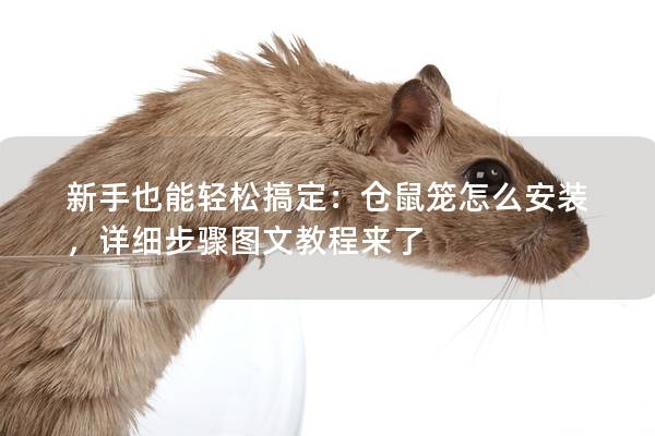 新手也能轻松搞定：仓鼠笼怎么安装，详细步骤图文教程来了