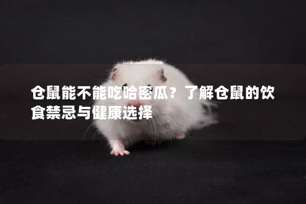 仓鼠能不能吃哈密瓜？了解仓鼠的饮食禁忌与健康选择