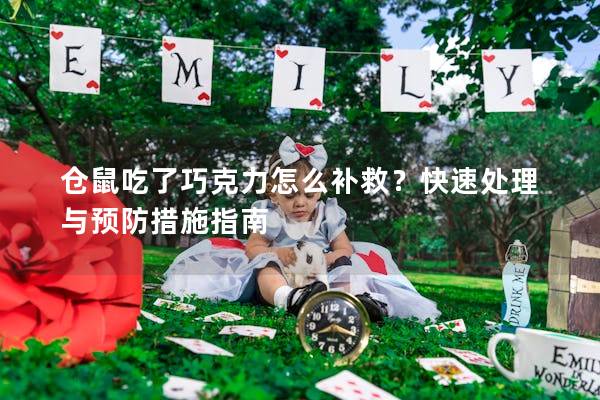 仓鼠吃了巧克力怎么补救？快速处理与预防措施指南