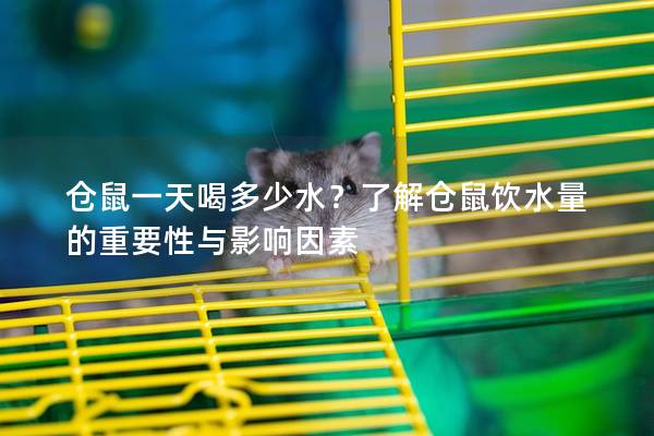 仓鼠一天喝多少水？了解仓鼠饮水量的重要性与影响因素