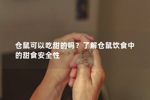 仓鼠可以吃甜的吗？了解仓鼠饮食中的甜食安全性