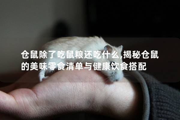 仓鼠除了吃鼠粮还吃什么,揭秘仓鼠的美味零食清单与健康饮食搭配