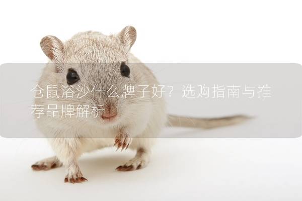 仓鼠浴沙什么牌子好？选购指南与推荐品牌解析