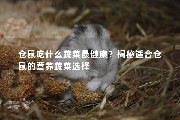 仓鼠吃什么蔬菜最健康？揭秘适合仓鼠的营养蔬菜选择