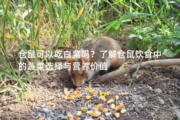 仓鼠可以吃白菜吗？了解仓鼠饮食中的蔬菜选择与营养价值