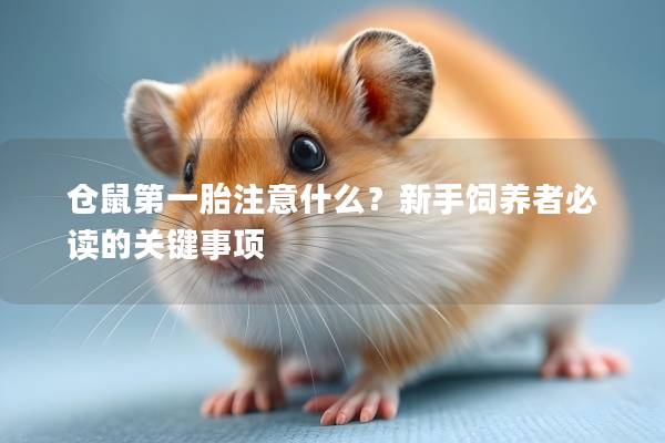 仓鼠第一胎注意什么？新手饲养者必读的关键事项