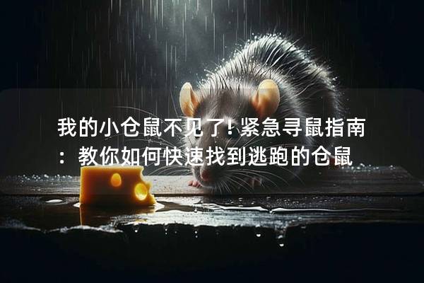 我的小仓鼠不见了! 紧急寻鼠指南：教你如何快速找到逃跑的仓鼠