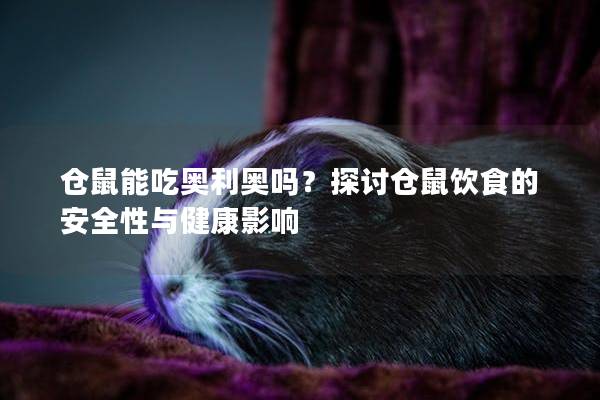仓鼠能吃奥利奥吗？探讨仓鼠饮食的安全性与健康影响