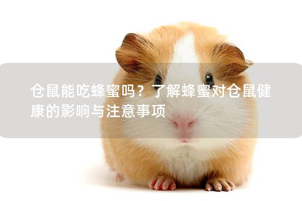 仓鼠能吃蜂蜜吗？了解蜂蜜对仓鼠健康的影响与注意事项