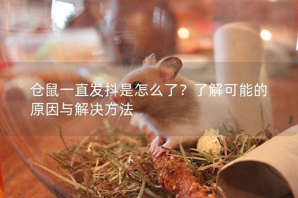 仓鼠一直发抖是怎么了？了解可能的原因与解决方法