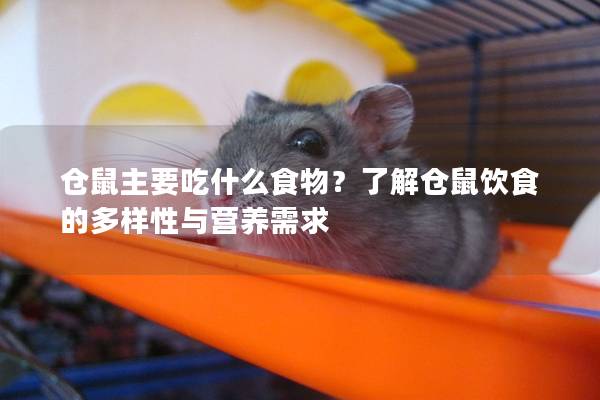 仓鼠主要吃什么食物？了解仓鼠饮食的多样性与营养需求