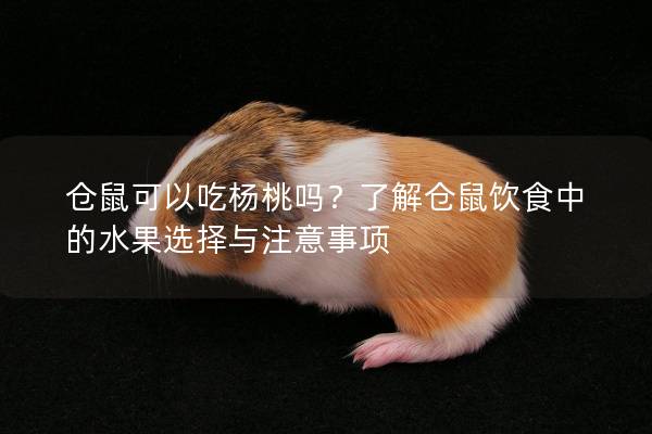仓鼠可以吃杨桃吗？了解仓鼠饮食中的水果选择与注意事项