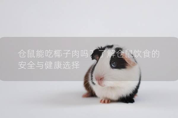 仓鼠能吃椰子肉吗？了解仓鼠饮食的安全与健康选择