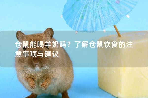 仓鼠能喝羊奶吗？了解仓鼠饮食的注意事项与建议