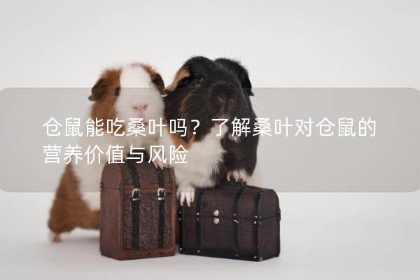 仓鼠能吃桑叶吗？了解桑叶对仓鼠的营养价值与风险