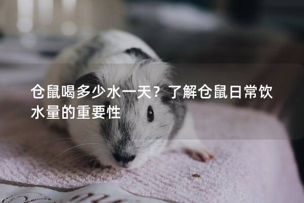 仓鼠喝多少水一天？了解仓鼠日常饮水量的重要性