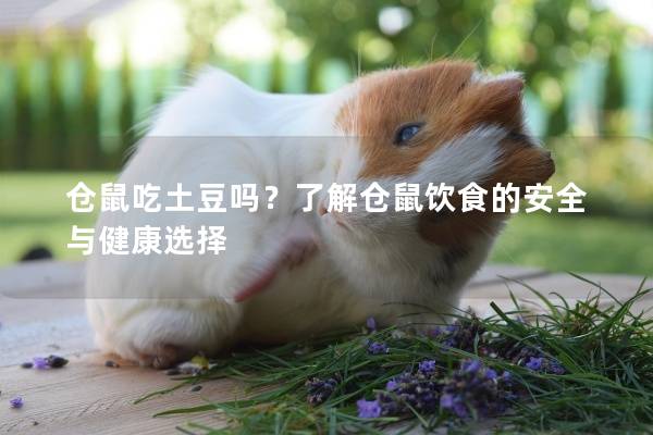 仓鼠吃土豆吗？了解仓鼠饮食的安全与健康选择