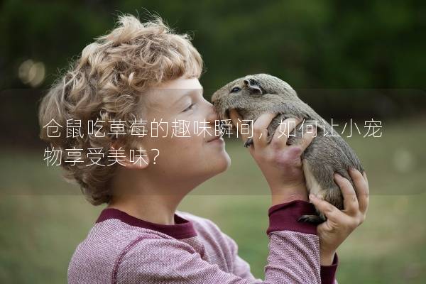 仓鼠吃草莓的趣味瞬间，如何让小宠物享受美味？