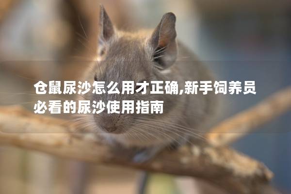 仓鼠尿沙怎么用才正确,新手饲养员必看的尿沙使用指南