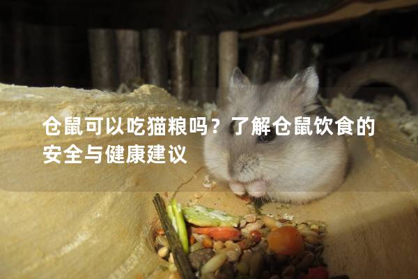 仓鼠可以吃猫粮吗？了解仓鼠饮食的安全与健康建议