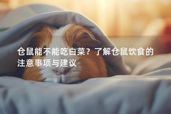 仓鼠能不能吃白菜？了解仓鼠饮食的注意事项与建议