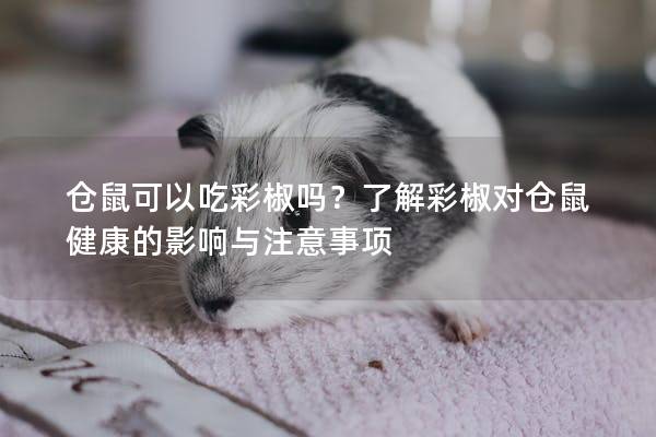 仓鼠可以吃彩椒吗？了解彩椒对仓鼠健康的影响与注意事项