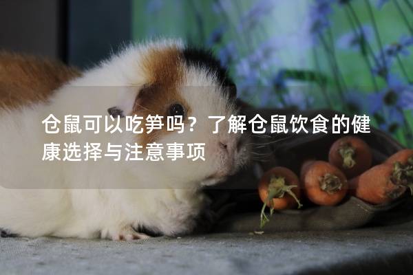 仓鼠可以吃笋吗？了解仓鼠饮食的健康选择与注意事项
