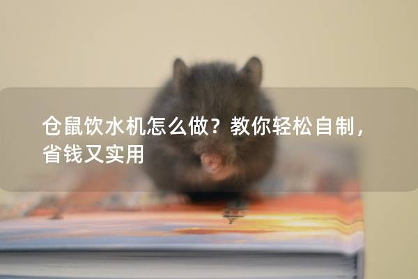 仓鼠饮水机怎么做？教你轻松自制，省钱又实用