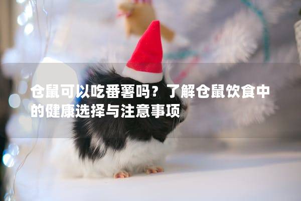 仓鼠可以吃番薯吗？了解仓鼠饮食中的健康选择与注意事项
