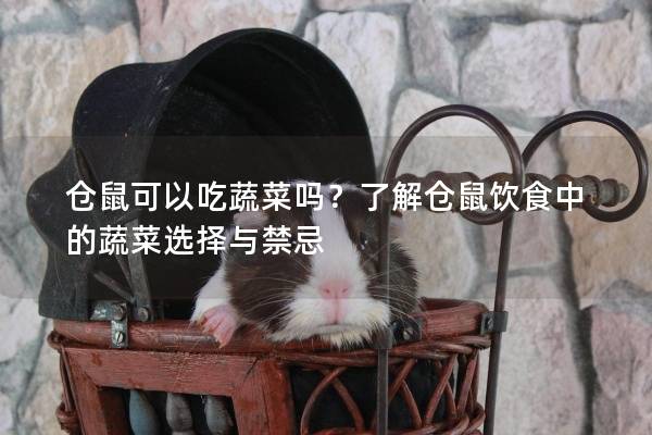 仓鼠可以吃蔬菜吗？了解仓鼠饮食中的蔬菜选择与禁忌