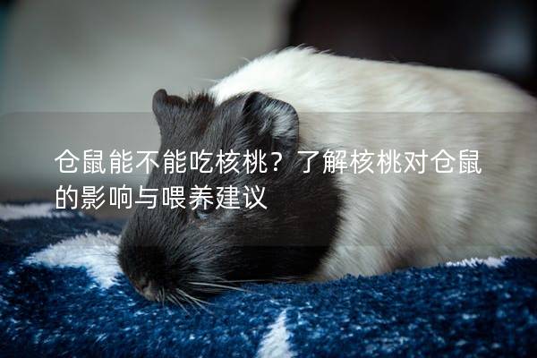 仓鼠能不能吃核桃？了解核桃对仓鼠的影响与喂养建议