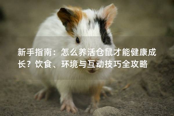 新手指南：怎么养活仓鼠才能健康成长？饮食、环境与互动技巧全攻略