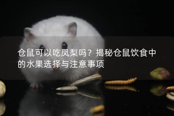 仓鼠可以吃凤梨吗？揭秘仓鼠饮食中的水果选择与注意事项