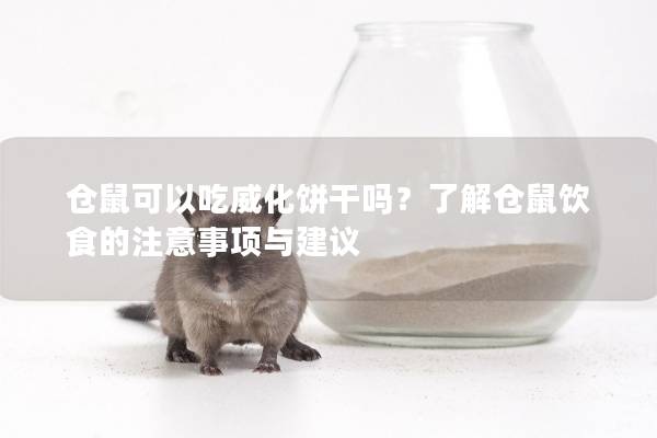 仓鼠可以吃威化饼干吗？了解仓鼠饮食的注意事项与建议