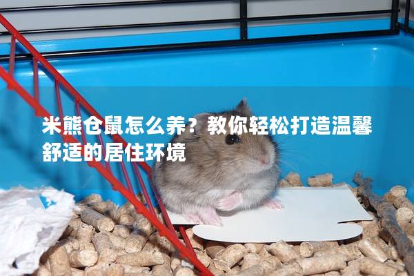 米熊仓鼠怎么养？教你轻松打造温馨舒适的居住环境