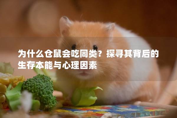 为什么仓鼠会吃同类？探寻其背后的生存本能与心理因素