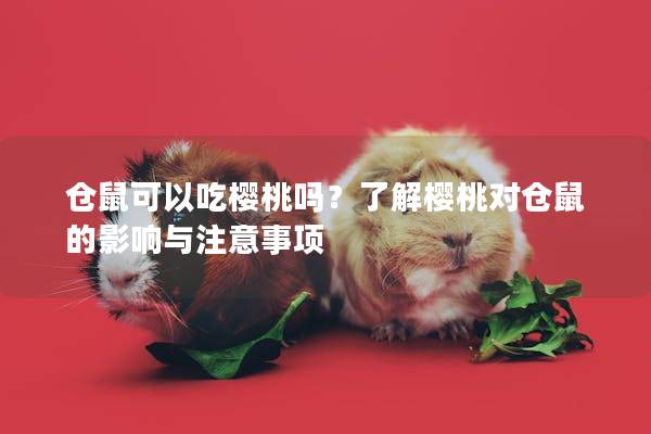 仓鼠可以吃樱桃吗？了解樱桃对仓鼠的影响与注意事项