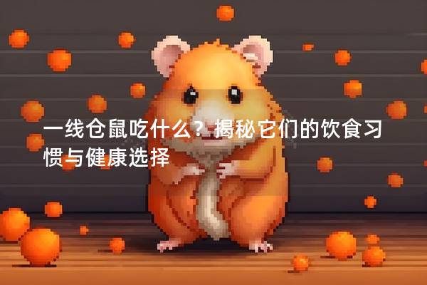 一线仓鼠吃什么？揭秘它们的饮食习惯与健康选择