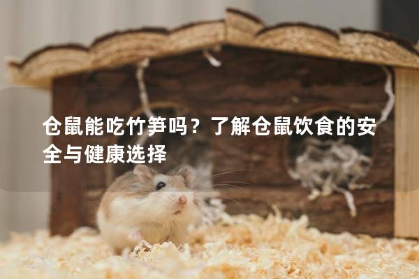 仓鼠能吃竹笋吗？了解仓鼠饮食的安全与健康选择