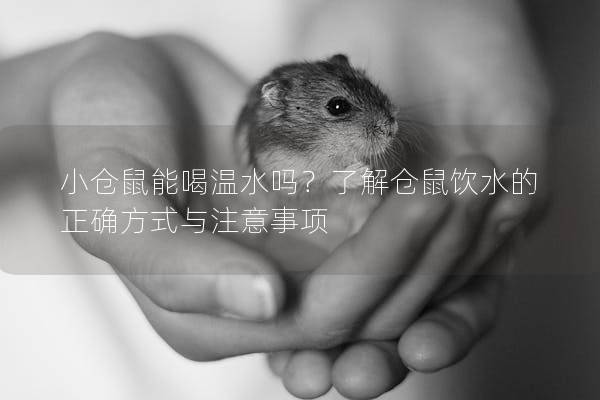 小仓鼠能喝温水吗？了解仓鼠饮水的正确方式与注意事项