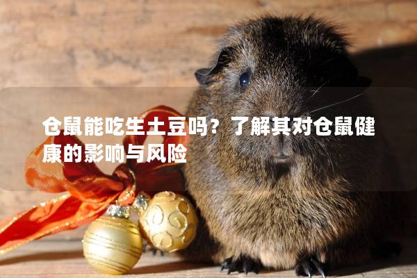 仓鼠能吃生土豆吗？了解其对仓鼠健康的影响与风险