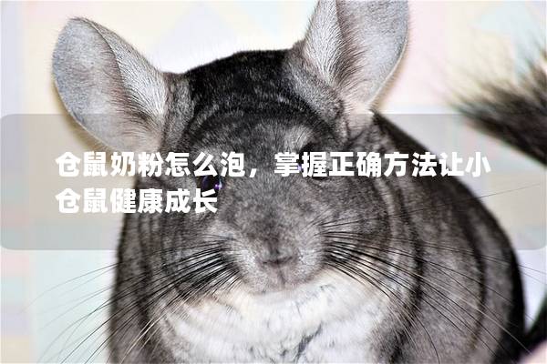 仓鼠奶粉怎么泡，掌握正确方法让小仓鼠健康成长