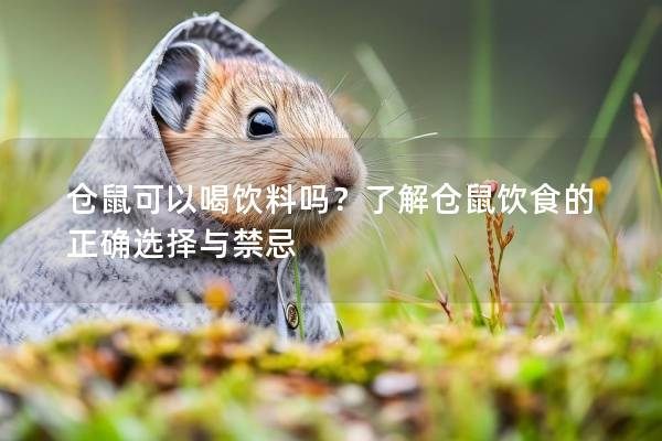 仓鼠可以喝饮料吗？了解仓鼠饮食的正确选择与禁忌