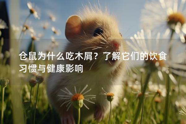 仓鼠为什么吃木屑？了解它们的饮食习惯与健康影响