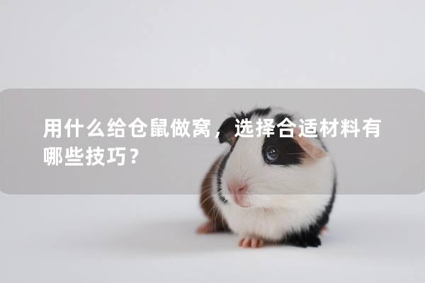 用什么给仓鼠做窝，选择合适材料有哪些技巧？