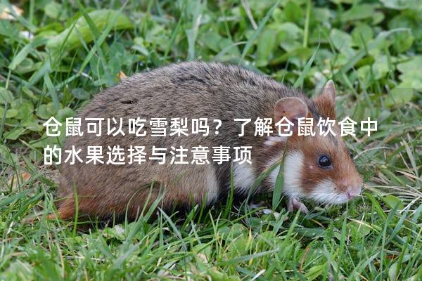 仓鼠可以吃雪梨吗？了解仓鼠饮食中的水果选择与注意事项