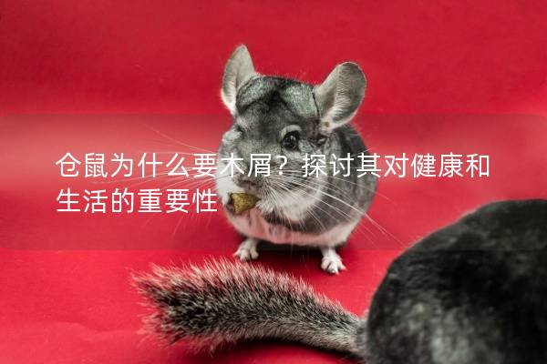 仓鼠为什么要木屑？探讨其对健康和生活的重要性
