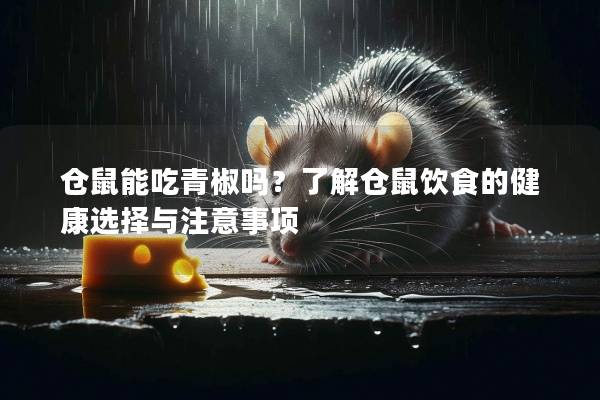 仓鼠能吃青椒吗？了解仓鼠饮食的健康选择与注意事项